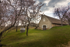 aszofoweb_05