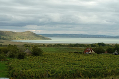 aszofoweb_11